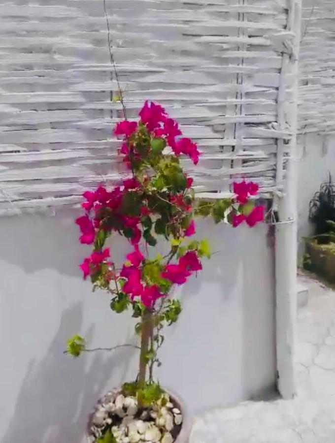 Villa Diam La Paix Guediawaye Exterior foto